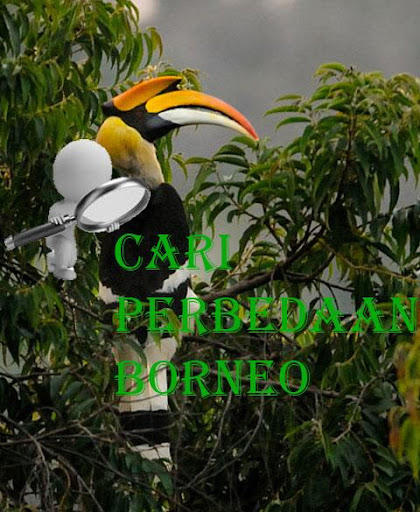 cari perbedaan borneo