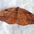 Crescent Tip Geometer