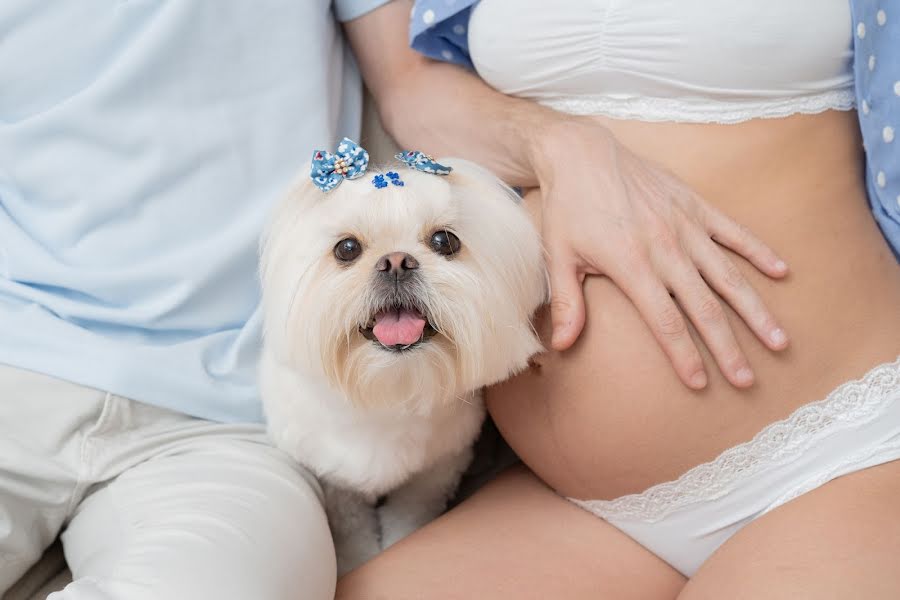 Fotografo di matrimoni Fernando Lima (fernandolima). Foto del 11 febbraio 2021