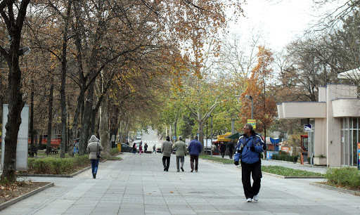 Dveri i Udruženje sindikata penzionera protiv prodaje banja Srbije