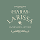 HARAS LARISSA Download on Windows