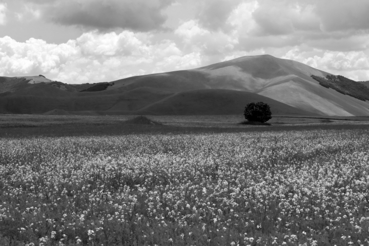 Castelluccio di Norcia di loredana_dpl