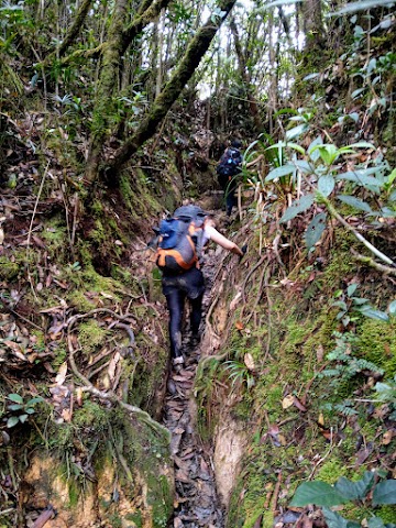 Gunung Tahan Climbing