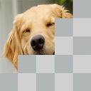 Herunterladen Guess Dog Breeds Quiz - Tiles Installieren Sie Neueste APK Downloader