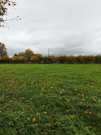 terrain à batir à Gournay-en-Bray (76)