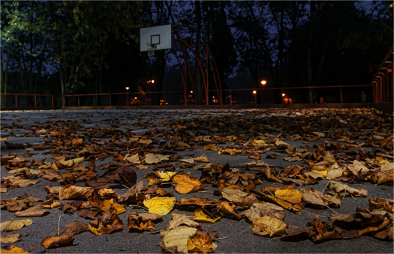 L'autunno scende in campo di Giovi18