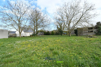 terrain à Brissac-Quincé (49)