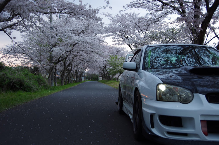 インプレッサ WRX STIのまる草GDBさんが投稿したカスタム事例の投稿画像12枚目