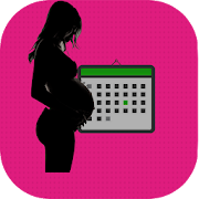 Pregnancy Due Date Calculator  Icon