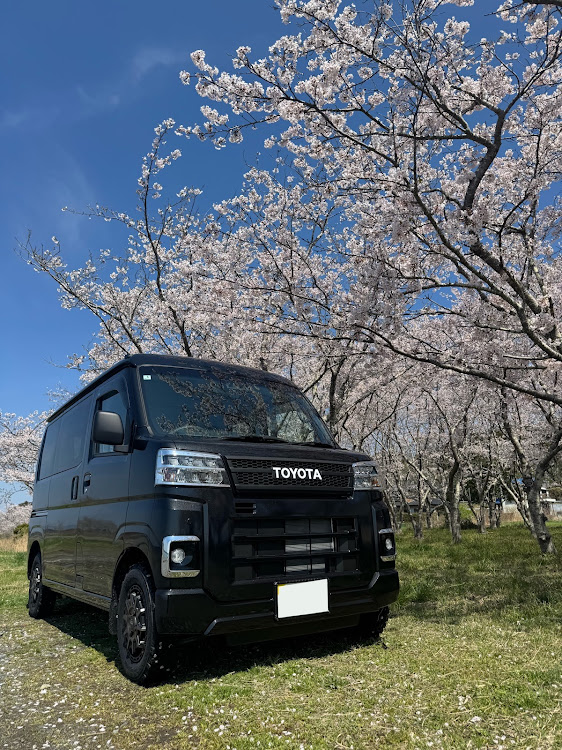 ピクシスバンのトムソーヤさんが投稿したカスタム事例の投稿画像1枚目