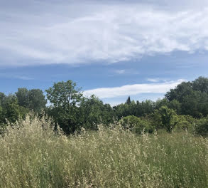 terrain à Sorgues (84)