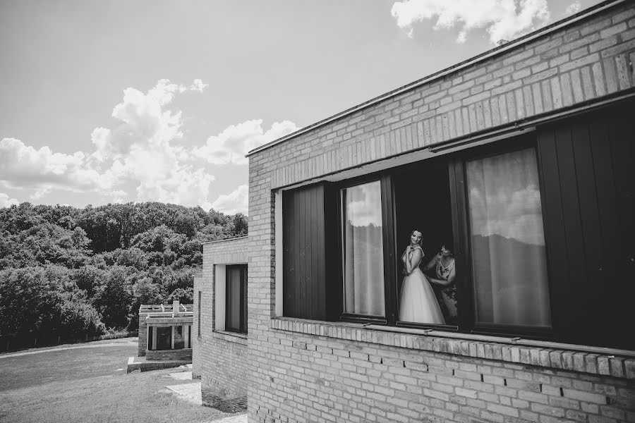 Wedding photographer Zsolt Sári (zsoltsari). Photo of 10 August 2021