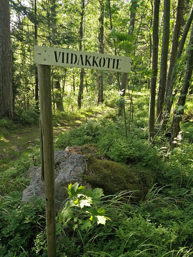 Viidakkotie