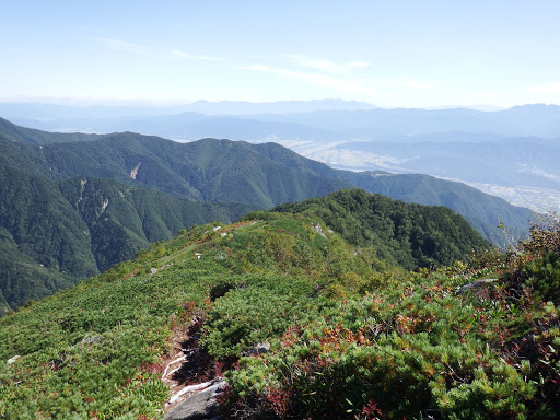 登ってきた尾根を見下ろす