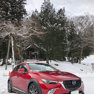 CX-3 DKEFW