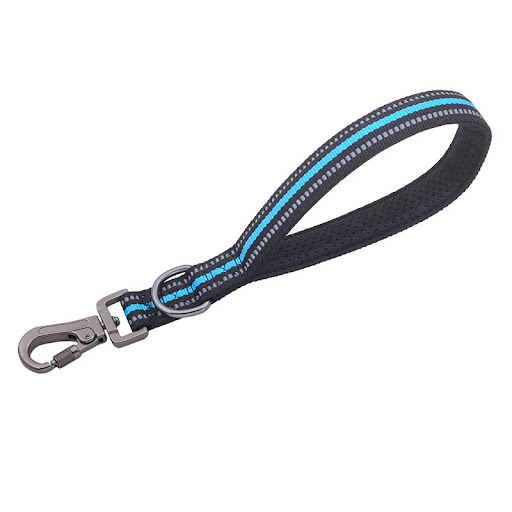 Title 5, Big Dog Short Traction Rope Step Training – Enh...