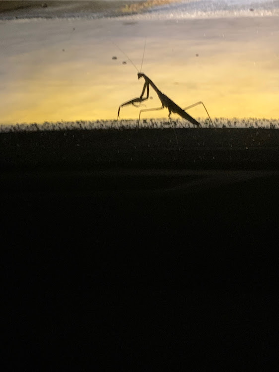 エスクァイアのちょめE.C.O.Jさんが投稿したカスタム事例の投稿画像5枚目