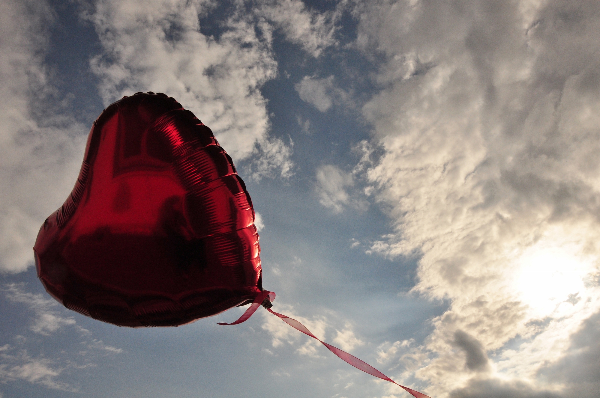 Un cuore per il cielo di Ilaria Bertini