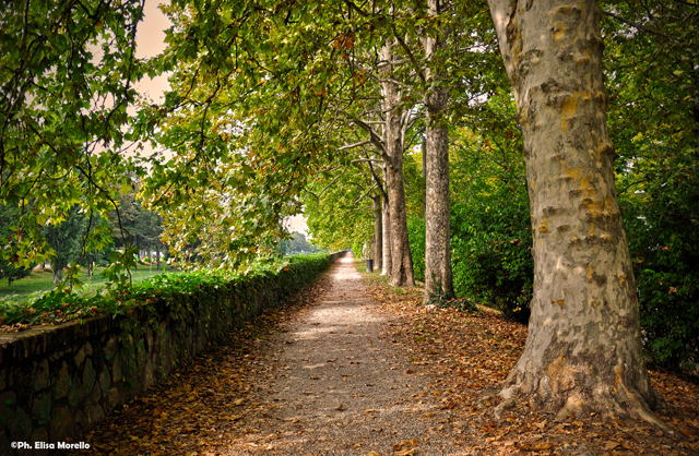 Padova  città giardino di onevision