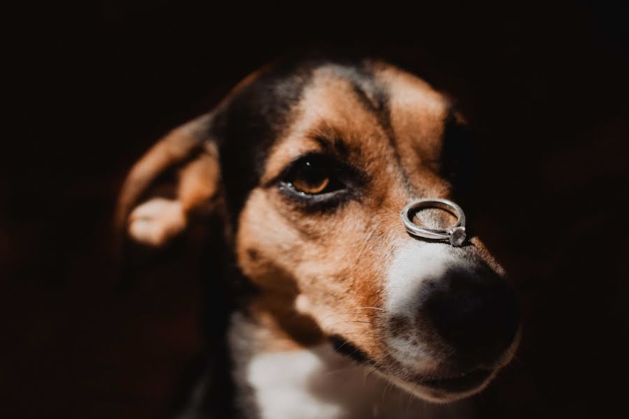 Svatební fotograf Alejandro Usma (alejousma). Fotografie z 13.března