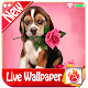 Download Cute Puppy Rose Live Wallpaper Puppy Dog LWP 2019 For PC Windows and Mac 2.05