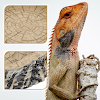 miniatures image - 2