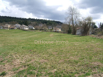 terrain à Saint-Pierre-Eynac (43)