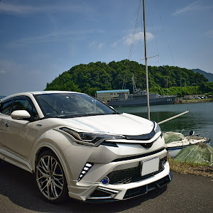 C-HR ZYX10