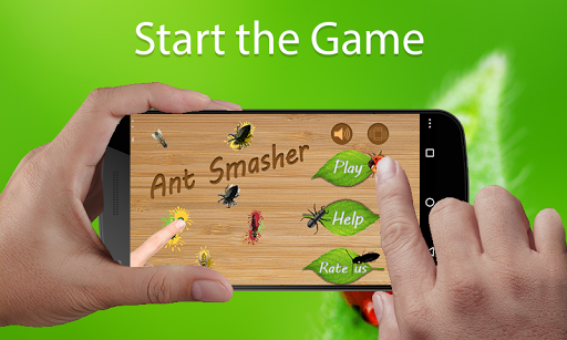 Ant Smasher Game