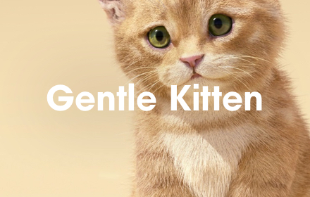 Gentle Kitten small promo image