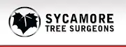 Sycamore Tree Surgeons  Logo