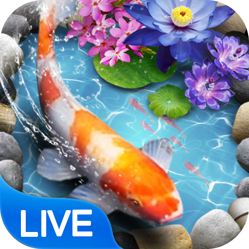 Koi Fish Theme & Lively 3D Ripple Effect