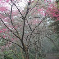 大山背客家人文生態館