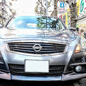 スカイライン V36