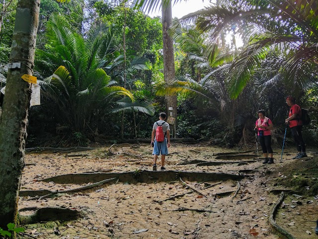 Apek Hill Station 2