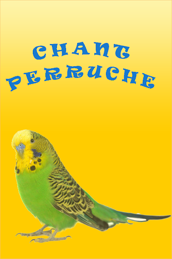 Chant Perruches