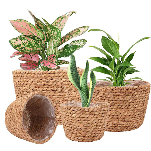 Title 4, Straw and Seaweed Weaving Plant Basket, Decorat...