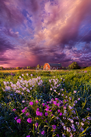 Songs of Days Gone By by Phil Koch -  