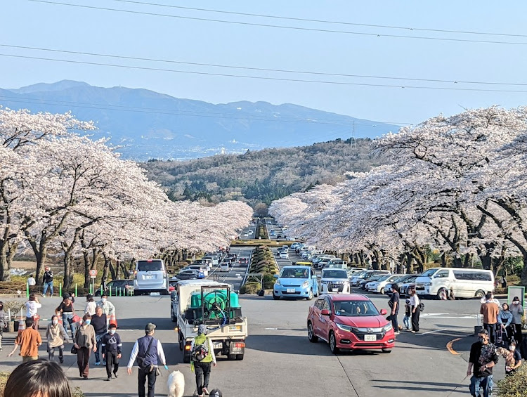 の投稿画像2枚目