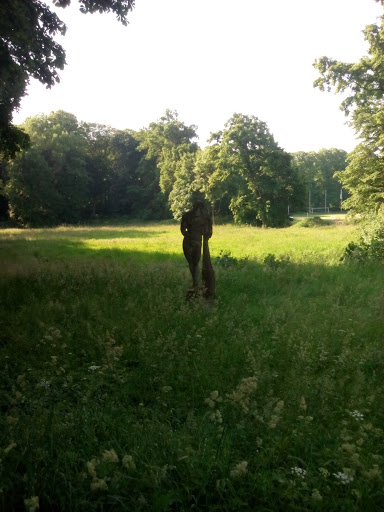 Statue Im Verwilderten Park