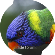 Parrot Lock Screen 1.0 Icon