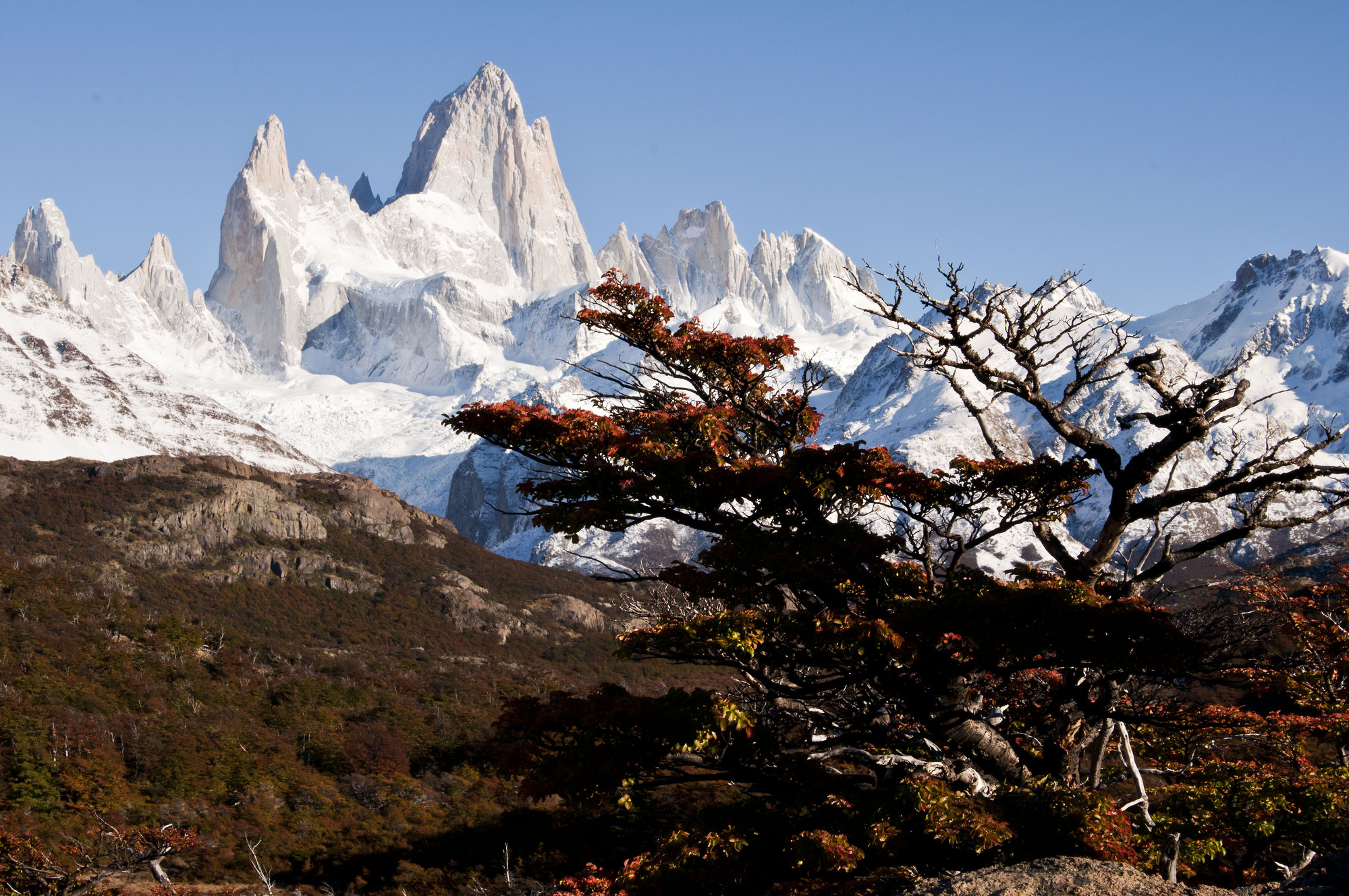 Verso il Fitz Roy di danz675