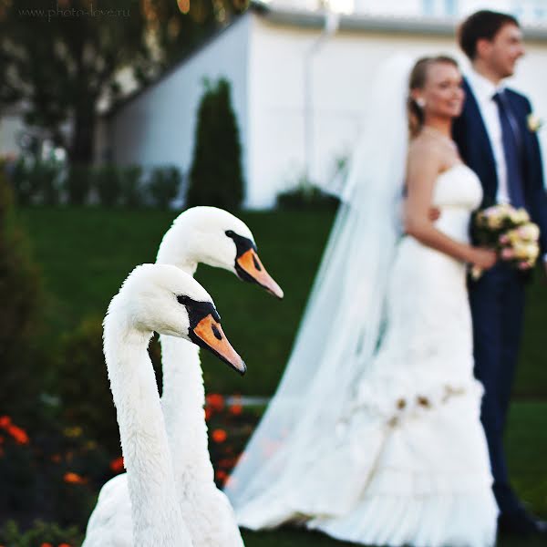 Svatební fotograf Sergey Belikov (belikov81). Fotografie z 9.dubna 2014