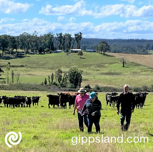 The Victorian Landcare Program provides services and initiatives to support landcare in Victoria, with the goal to strengthen and enable groups and networks across the State