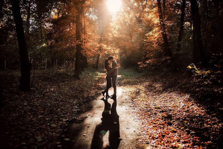 Wedding photographer Alena Polozhenceva (nimta). Photo of 29 September 2019