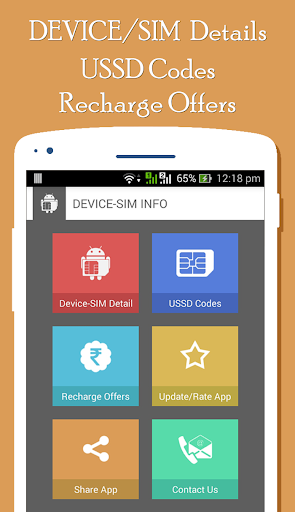 SIM Info USSD Recharge Offers