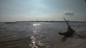 Barrier Islands thumbnail