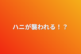 ハニが襲われる！？