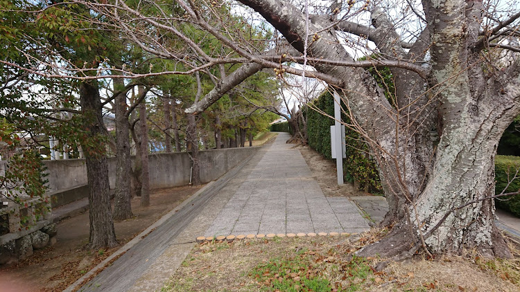 の投稿画像17枚目