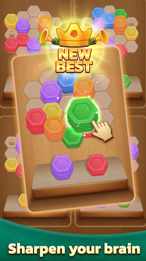 Screenshot Wood Hexa Puzzle